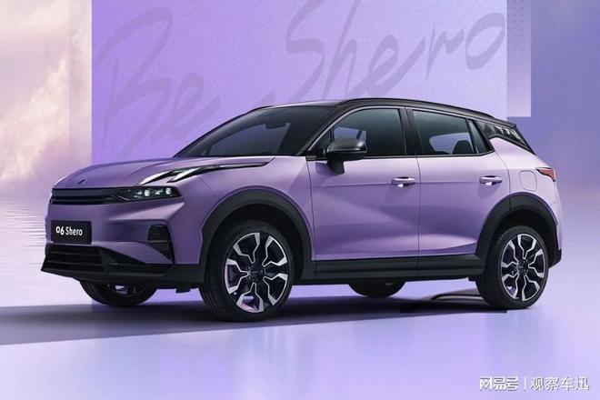 紫色特别版限量166台还送联名金钞！凯发K8旗舰厅领克06推出Shero(图2)